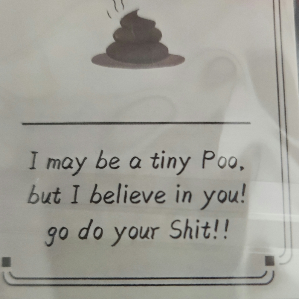 Emotional Support Poo Charms For Keys Or Bags. $5 Ea | Buyer Selects Color - Picture 3 of 3